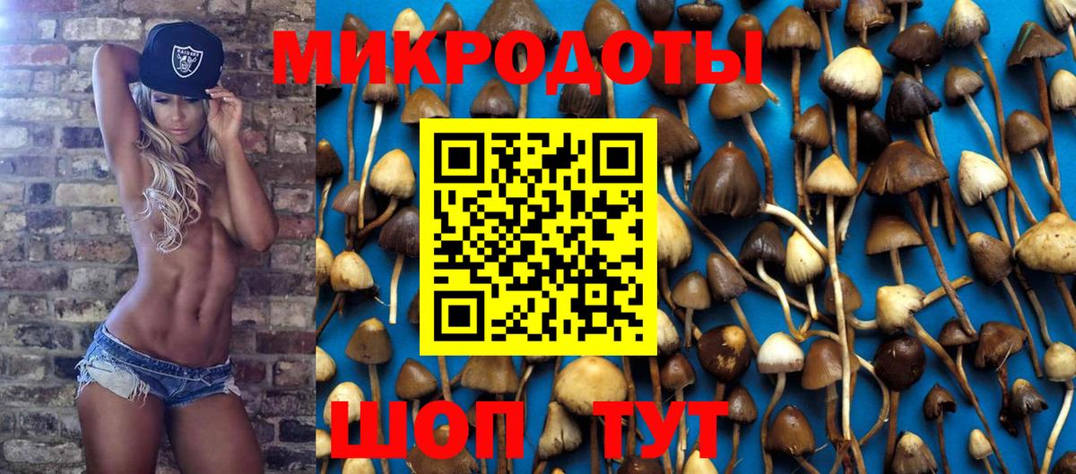 Псилоцибиновые грибы Psilocybe  Вход с VPN  Азов 