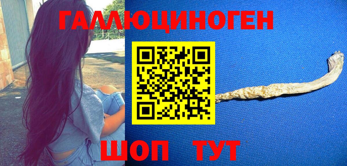 Псилоцибиновые грибы прущие грибы Азов